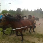Křtiny hříbat s programem na Cunkově přilákaly stovky lidí