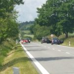 Opeřená rodinka zkomplikovala dopravu u Záhoří na Písecku