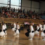 Energií nabitá NRG crew rozpumpovala sportovní halu