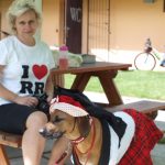 Pejskiáda pomůže psům ze strakonického útulku a zvířecího azylu Sirius v Písku