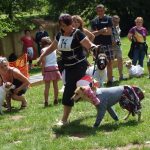 Pejskiáda pomůže psům ze strakonického útulku a zvířecího azylu Sirius v Písku