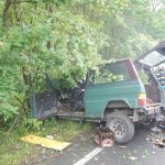 Tři zraněné děti v autě u Čakova zachraňovali kolemjdoucí