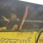 Provozovatel havarovaného autobusu s dětmi naznačil, že někteří pasažéři zřejmě nebyli připoutaní