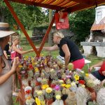 Divadlo na návsi v Sudoměřicích doplnil řemeslný jarmark