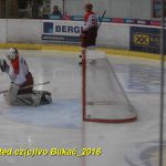 Hokej: Kohouti v přípravě přehráli ambiciózní Havlíčkův Brod