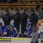 Hokej: Kohouti v přípravě přehráli ambiciózní Havlíčkův Brod