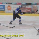 Hokej: Kohouti v přípravě přehráli ambiciózní Havlíčkův Brod