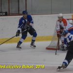 Hokej: Kohouti v přípravě přehráli ambiciózní Havlíčkův Brod