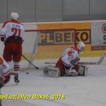 Hokej: Kohouti v přípravě přehráli ambiciózní Havlíčkův Brod