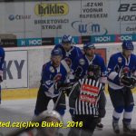 Hokej: Kohouti v přípravě přehráli ambiciózní Havlíčkův Brod