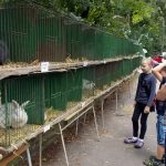 Chotovinské slavnosti trvaly poprvé dva dny. Přilákaly stovky návštěvníků