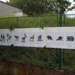 Chotovinské slavnosti trvaly poprvé dva dny. Přilákaly stovky návštěvníků