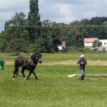 Formanskou jízdu si užili ve Vescích