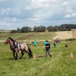 Formanskou jízdu si užili ve Vescích