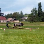 Formanskou jízdu si užili ve Vescích