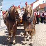 Poslední postřehy a závěrečný průvod Mezinárodního dudáckého festivalu