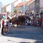Poslední postřehy a závěrečný průvod Mezinárodního dudáckého festivalu