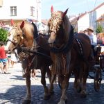 Poslední postřehy a závěrečný průvod Mezinárodního dudáckého festivalu