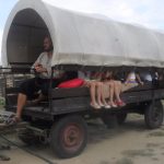 V Borotíně slavili dožínky a plánují obnovit barokní statek