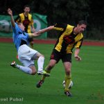 Milevsku v Hradci pršelo štěstí, Dvořák v premiéře vychytal nulu