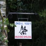 Psí Srandamač Na Spálené měl i speciální úkoly. Do rohlíku ani kousnout!