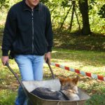 Psí Srandamač Na Spálené měl i speciální úkoly. Do rohlíku ani kousnout!