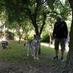 Psí Srandamač Na Spálené měl i speciální úkoly. Do rohlíku ani kousnout!