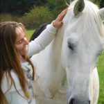Kde si užívá důchod vysloužilý dostihák Josefa Váni Tiumen? V Domově pro koně, který dnes otevírá dveře