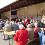 „Sestra Živitelky“ – nával na táborském Dnu zemědělce