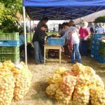 „Sestra Živitelky“ – nával na táborském Dnu zemědělce