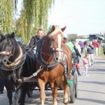„Sestra Živitelky“ – nával na táborském Dnu zemědělce