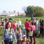 „Sestra Živitelky“ – nával na táborském Dnu zemědělce