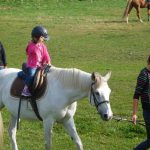 „Sestra Živitelky“ – nával na táborském Dnu zemědělce