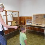 „Sestra Živitelky“ – nával na táborském Dnu zemědělce