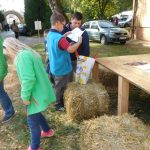 „Sestra Živitelky“ – nával na táborském Dnu zemědělce