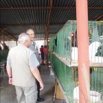 „Sestra Živitelky“ – nával na táborském Dnu zemědělce