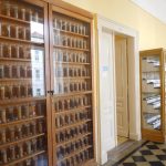 „Sestra Živitelky“ – nával na táborském Dnu zemědělce