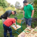 „Sestra Živitelky“ – nával na táborském Dnu zemědělce