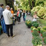 „Sestra Živitelky“ – nával na táborském Dnu zemědělce