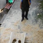 „Sestra Živitelky“ – nával na táborském Dnu zemědělce