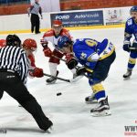 Písečtí fanoušci slaví výhru nad pelhřimovskými Medvědy