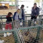 V Soběslavi své šampiony předvedlo rovných 150 chovatelů