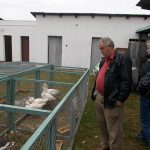 V Soběslavi své šampiony předvedlo rovných 150 chovatelů