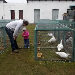 V Soběslavi své šampiony předvedlo rovných 150 chovatelů
