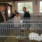 V Soběslavi své šampiony předvedlo rovných 150 chovatelů