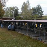 V Soběslavi své šampiony předvedlo rovných 150 chovatelů