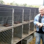 V Soběslavi své šampiony předvedlo rovných 150 chovatelů