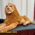 Šaty Petry Brzkové na společenském večeru okouzlily