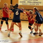 Házená: Milevské mládí dotahovalo budějovický náskok statečně