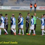 Derby rozhodla jediná branka. Raduje se Dynamo